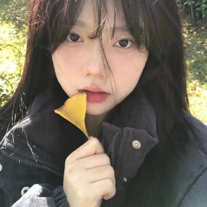 秋月 高清在线播放